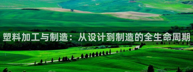 太阳成集团网站005：塑料加工与制造：从设计到制造的全生命周期
