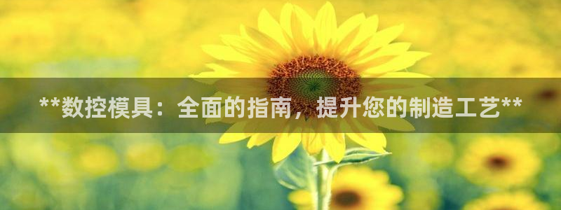 太阳集团游戏2138网站