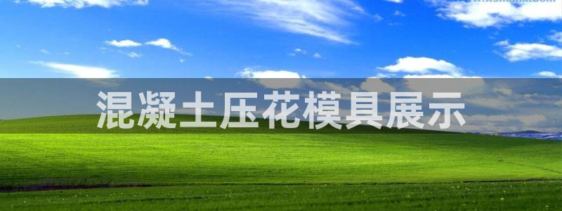 太阳贵宾城