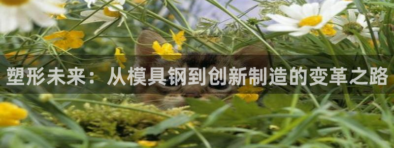 太阳集团网站多少：塑形未来：从模具钢到创新制造的变革之路