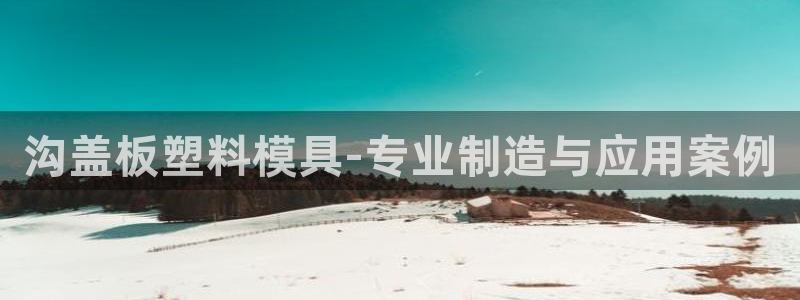 澳门太阳集团洗米华：沟盖板塑料模具-专业制造与应用案例