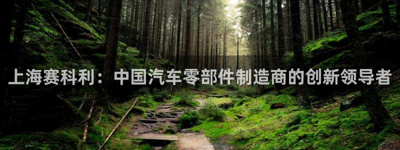 太阳成集团不能提现