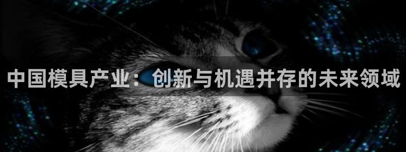 太阳诚集团在线：中国模具产业：创新与机遇并存的未来领域