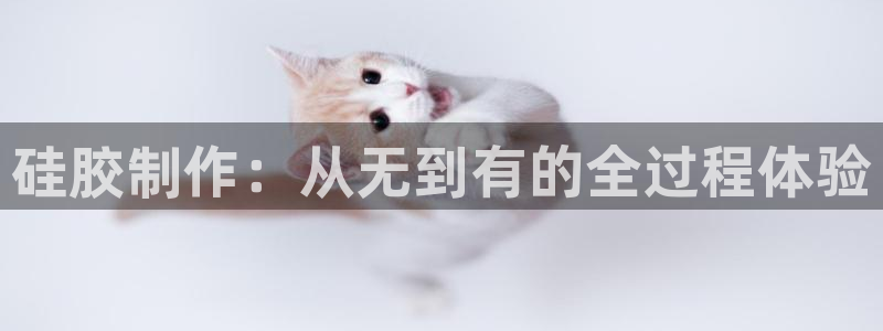 太阳集团游戏城新版138：硅胶制作：从无到有的全过程体验