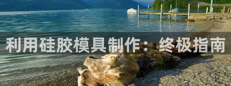 太阳集团城登录网址：利用硅胶模具制作：终极指南