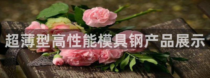太阳成集团tyc151：超薄型高性能模具钢产品展示