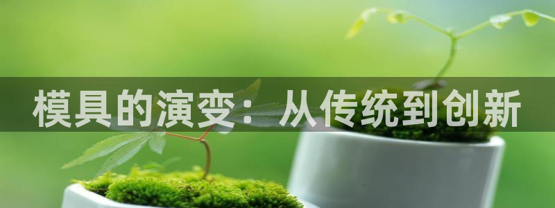 太阳gg登录首页：模具的演变：从传统到创新