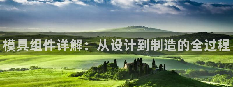 15vip太阳集团官网：模具组件详解：从设计到制造的全过程