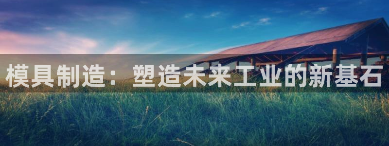 太阳成集团lougo图片：模具制造：塑造未来工业的新基石