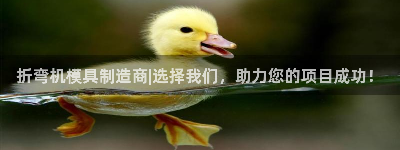 太阳集团城娱6543官网：折弯机模具制造商|选择我们，助力您的项目成功！