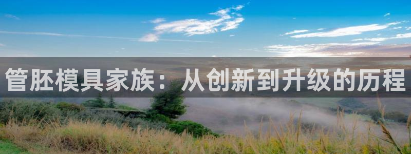 太阳集团游戏官方网址老字号：管胚模具家族：从创新到升级的历程