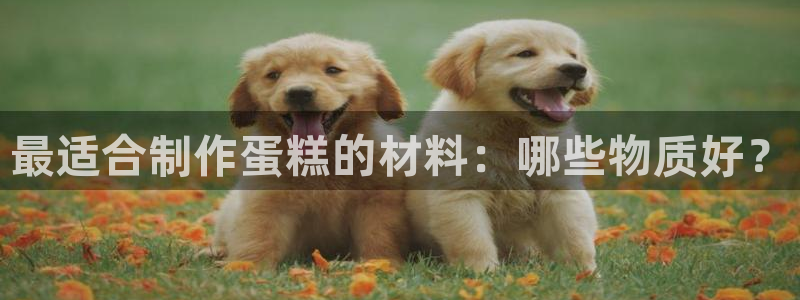 太阳成集团lougo图片：最适合制作蛋糕的材料：哪些物质好？