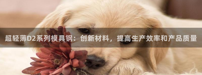 太阳集团首页：超轻薄D2系列模具钢：创新材料，提高生产效率和