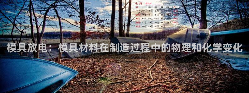 太阳成集团tyc122ccvlp：模具放电：模具材料在制造过