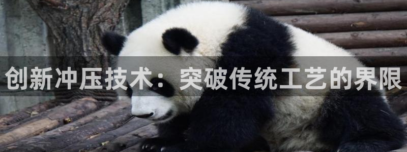 太阳成集团tyc122ccvlp：创新冲压技术：突破传统工艺