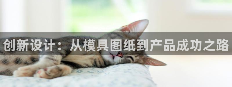 太阳集团城2017：创新设计：从模具图纸到产品成功之路