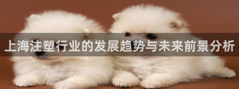 太阳商城贵宾会：上海注塑行业的发展趋势与未来前景分析